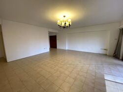 The Cairnhill (D9), Condominium #596520771